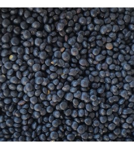 Lentilles Beluga