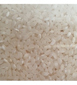 Riz camarguais rond