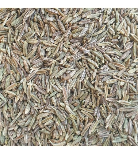 Cumin grains