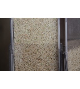 Riz de camargue semi complet