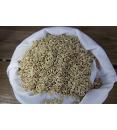 Farine de riz semi-complète (500gr)